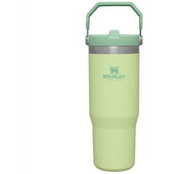 TERMOS INOX CU PAI VERDE 890ML