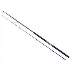 2BUC.SGS6 SHORE JIGGING MF MH 2,0-4,0/3,05M/30-100G
