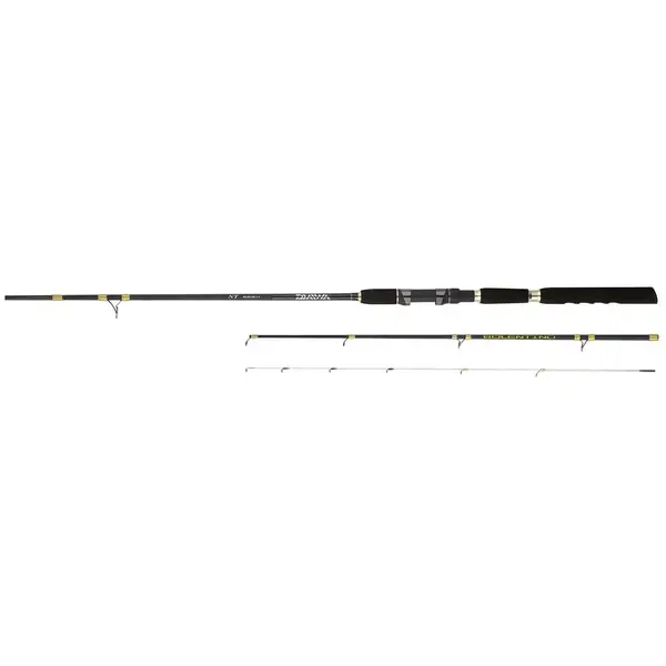 DAIWA 2+4BUC. 19 NT BOLENTINO 2,4M/30-150G