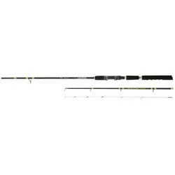 DAIWA 2+4BUC. 19 NT BOLENTINO 2,4M/30-150G