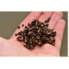 RAPALA CANEPA DYNAMITE GARLIC FRENZIED HEMPSEED 700G
