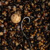 NASH TACKLE CARLIG CURVE SHANK 6BUC/PL NR.6