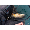 PRESTON INNOVATION CAP MINCIOG CARP XS LANDING NET 55CM