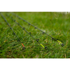 LANSETA PRESTON INNOVATION 3+3BUC. MONSTER XTREME DISTANCE FEEDER 4,2M/200G
