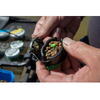 PRESTON INNOVATION PELETE SONUBAITS MARINE GREEN STIKI METHOD PELLET 4MM 650G