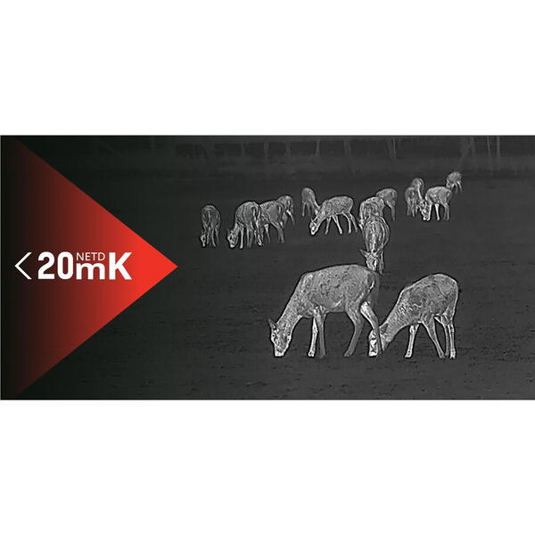 MONOCULAR VEDERE TERMICA LYNX LH25 2.0 1024X768 0,39INCH