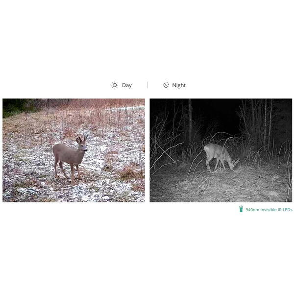 CAMERA VIDEO NIGHT VISION