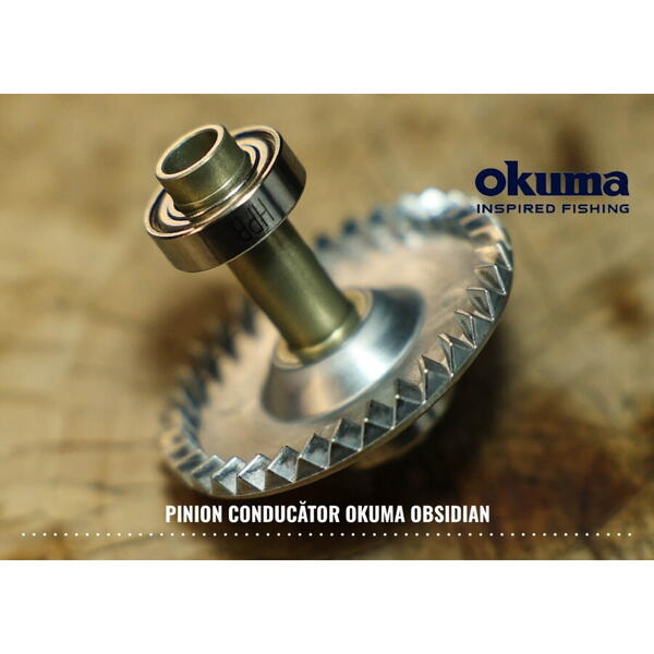 MULINETA OBSIDIAN CARP 1200 35A 10RUL/600MX035/4,3:1