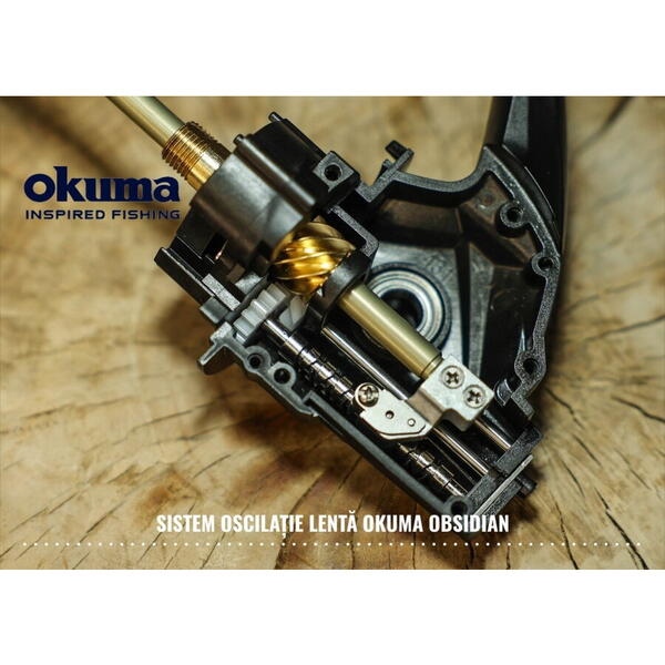 MULINETA OBSIDIAN CARP 1200 35A 10RUL/600MX035/4,3:1