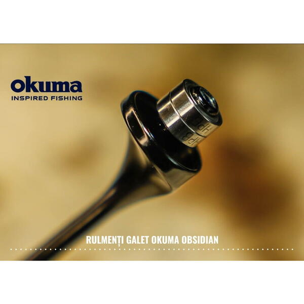 MULINETA OBSIDIAN CARP 1200 35A 10RUL/600MX035/4,3:1