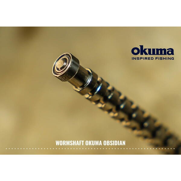 MULINETA OBSIDIAN CARP 1200 35A 10RUL/600MX035/4,3:1