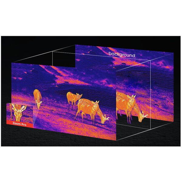 MONOCULAR VEDERE TERMICA FALCON 2.0 640X512 64GB