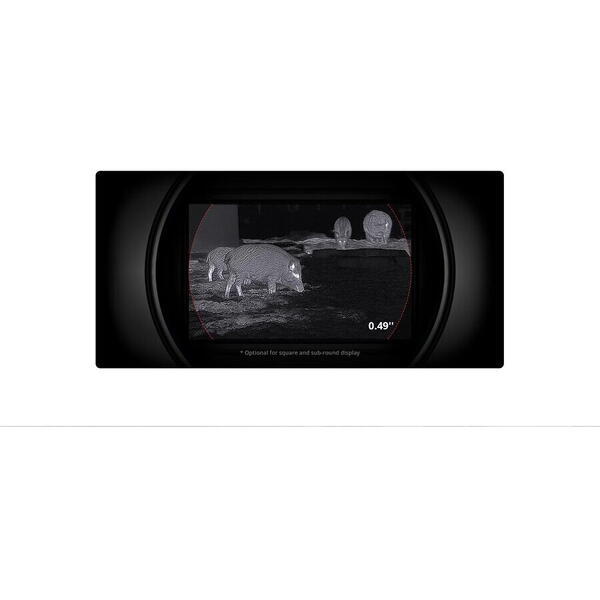 MONOCULAR VEDERE TERMICA FALCON 2.0 640X512 64GB