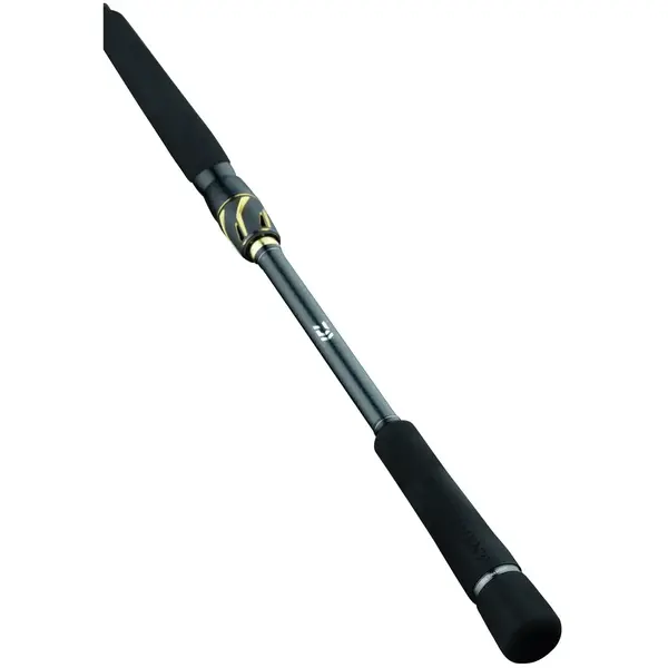 LANSETA SPINNING DAIWA 2BUC. 23 TN AGS 802H-CI SPIN 2,44M/15-50G