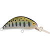 RAPTURE VOBLER HOT BEAN AREA 4,0CM/3,5G YMS