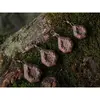 DELPHIN PLUMB VARTEJ CYBERBARBED  80G