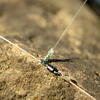 GURU MONT. FEEDER LINKS LARGE 0.4MM