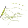 LINEAEFFE OPRITOARE MARIMEA SS