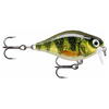 RAPALA VOBLER X LIGHT CRANK SHALLOW RUNNER 3,5CM/4G LIVE PERCH