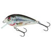SALMO Fishing VOBLER BUTCHER FLOATING 5CM/5G HOLOGRAFIC REAL DACE