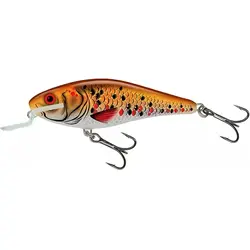 SALMO Fishing VOBLER EXECUTOR SHALLOW RUNNER 9CM HGB