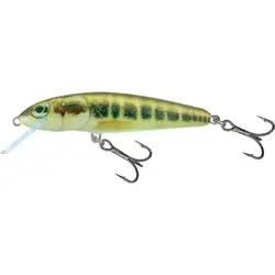 SALMO Fishing VOBLER MINNOW FLO 5CM HOLO BLEAK