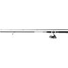 COMBO DAIWA COMBO LANS.2BUC SW21BF 2,10M/10-30G+MUL.DF200A