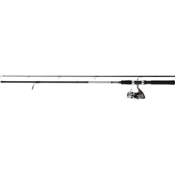 COMBO LANS.2BUC SW21BF 2,10M/10-30G+MUL.DF200A