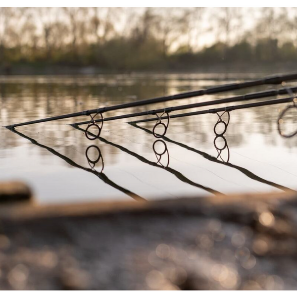 LANSETA DAIWA 2BUC.D-CARP 3,90M/3,5LBS