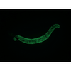DAIWA PRESSO NYORO CLAZY 57S 5.7CM/3,5G GOMASHIO GLOW