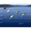 JACKALL DD CHUBBY 38F 3,8CM/4,7G GHOST G PERCH