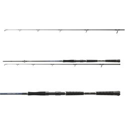 lanseta DAIWA 2BUC.SEALINE PILK 2,40M/80-200G