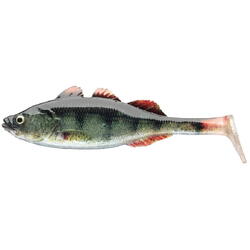 DAIWA SHAD PX LIVE PERCH 11,5CM/LP/4BUC/PL