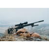 TIKKA T1X ACE TARGET ST 51CM 10RD 22LR NS MT