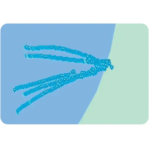 DEEPER SONAR SMART CHIRP+ 3.0 FLDP47